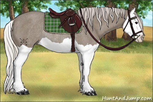 Horse Color:Silver Smoky Grullo Splash Rabicano 