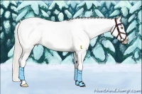 Horse Color:Silver Amber Champagne Dun Splash Frame Blanket 