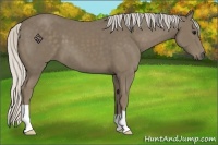 Horse Color:Silver Smoky Black 