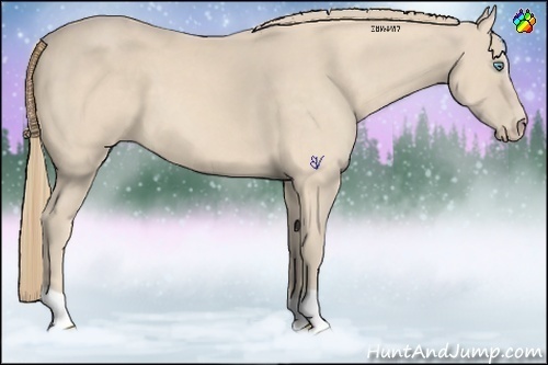 Horse Color:Perlino 