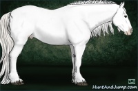 Horse Color:Silver Black Appaloosa