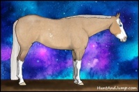 Horse Color:Silver Bay Roan Dun Sabino Splash