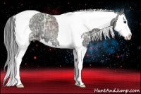 Horse Color:Smoky Black Ice Sabino Splash Tobiano 