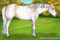 Horse Color:White Spotted Silver Buckskin Splash 