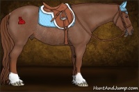 Horse Color:Red Roan Rabicano