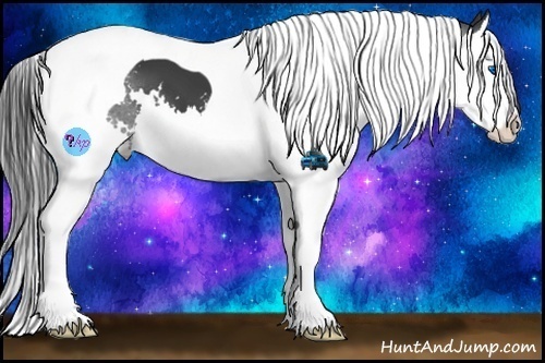 Horse Color:Black Splash Tobiano 