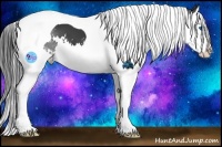 Horse Color:Black Splash Tobiano