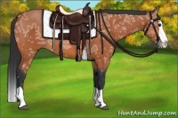 Horse Color:Bay Ice Splash 