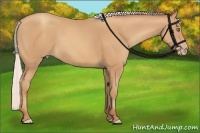 Horse Color:Silver Amber Champagne Frame 