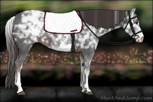 Horse Color:White Spotted Liver Chestnut Ice Sabino 