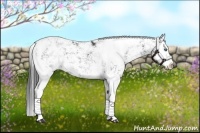 Horse Color:Black Sabino Splash 