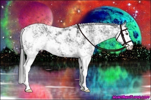 Horse Color:Black Ice Sabino