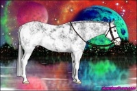 Horse Color:Black Ice Sabino