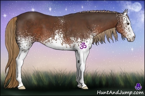 Horse Color:White Spotted Liver Chestnut 