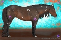 Horse Color:White Spotted Liver Chestnut 