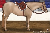 Horse Color:Liver Chestnut Pearl Sabino