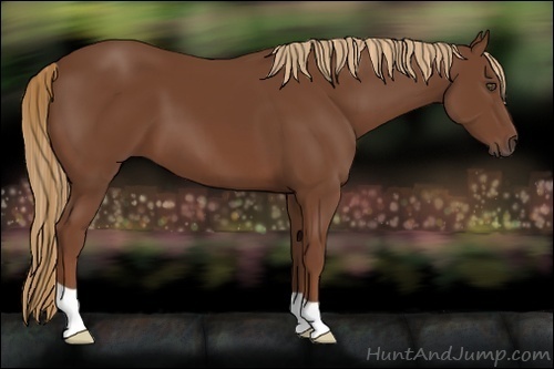 Horse Color:Chestnut 