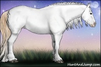 Horse Color:Buckskin Roan Varnish