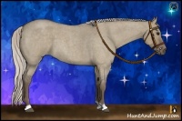 Horse Color:Silver Grullo Roan 