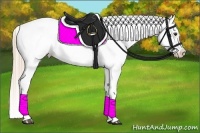 Horse Color:Red Roan Splash Varnish
