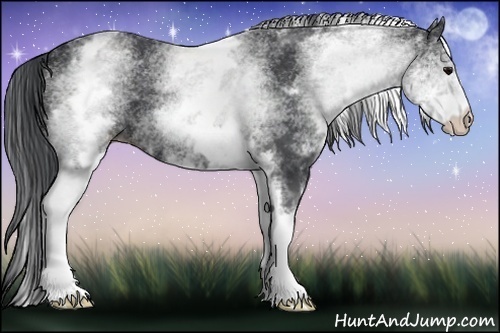 Horse Color:White Spotted Black 