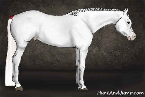 Horse Color:Silver Grullo Near Fewspot 