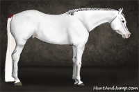 Horse Color:Silver Grullo Near Fewspot 