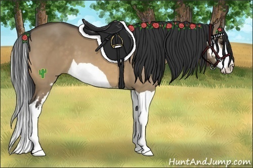 Horse Color:Buckskin Dun Splash Frame 