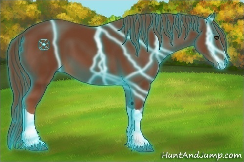 Horse Color:Thunderstruck Chestnut 