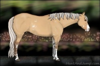 Horse Color:Silver Bay Dun Sabino 