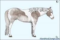Horse Color:Silver Black Ice Sabino Splash Tobiano 