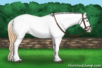 Horse Color:Buckskin Roan Dun Varnish