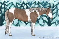 Horse Color:Silver Black Sabino Splash Tobiano