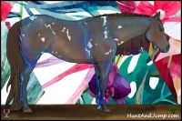 Horse Color:White Spotted Liver Red Roan