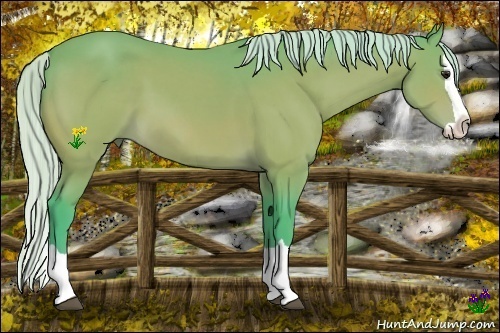 Horse Color:Watercolor Silver Bay Splash 