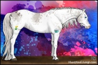 Horse Color:White Spotted Silver Black Splash Blanket 