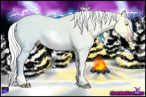 Horse Color:Gray White Spotted Gold Champagne Ice 