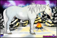 Horse Color:Gray White Spotted Gold Champagne Ice 
