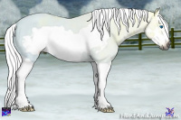 Horse Color:Gray Bay Ice Splash Frame
