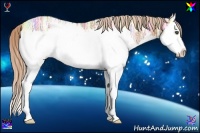 Horse Color:Palomino Ice Splash 
