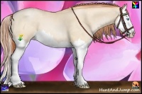 Horse Color:Buckskin Pearl Dun Splash 