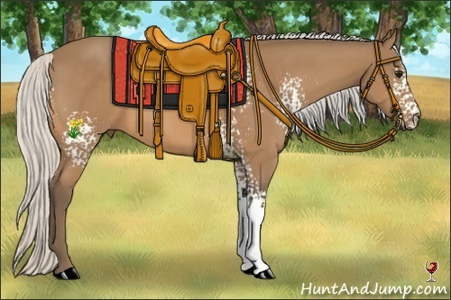 Horse Color:White Spotted Silver Buckskin