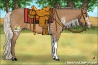 Horse Color:White Spotted Silver Buckskin 