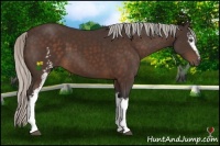 Horse Color:White Spotted Silver Bay 