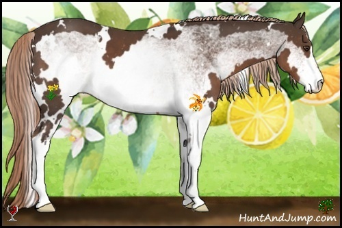 Horse Color:White Spotted Liver Chestnut Frame