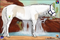 Horse Color:Chocolate Palomino Pearl Dun Splash Tobiano 
