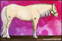Horse Color:Silver Bay Roan Pearl Dun