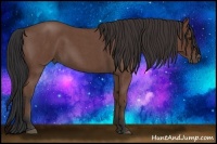 Horse Color:Bay Roan 