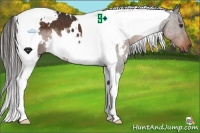 Horse Color:White Spotted Liver Chestnut Tobiano 