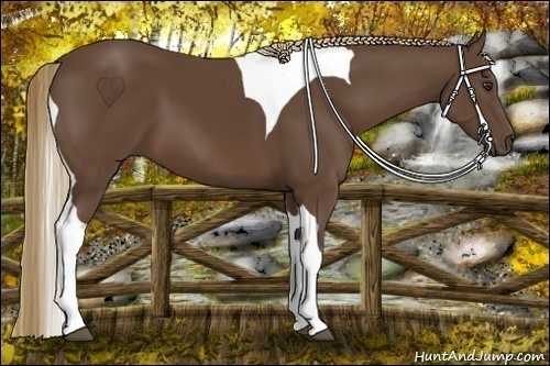 Horse Color:Liver Chestnut Tobiano 